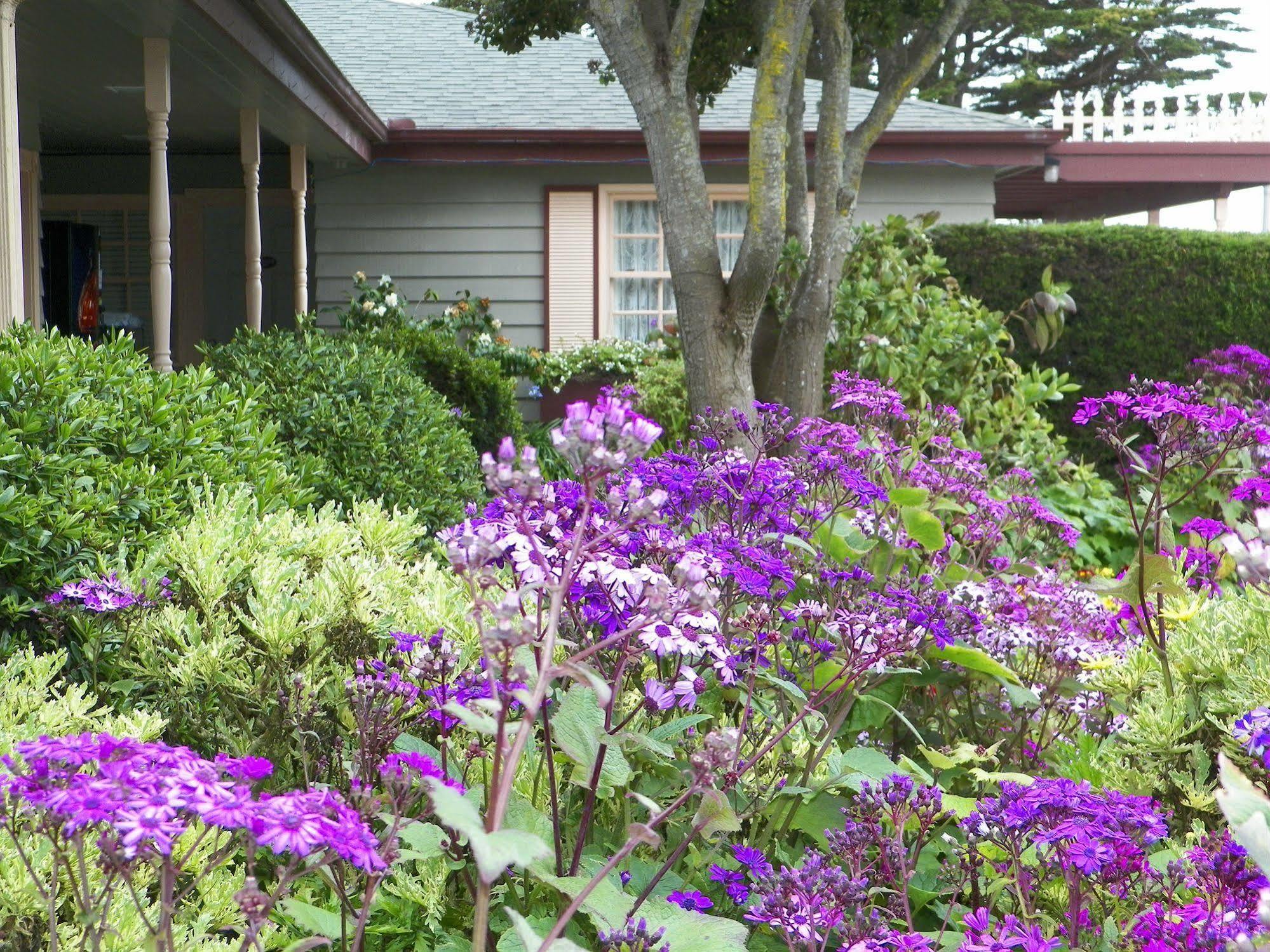 Sea Otter Inn Cambria Bagian luar foto