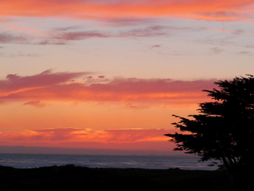 Sea Otter Inn Cambria Bagian luar foto